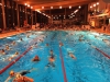 bild-2